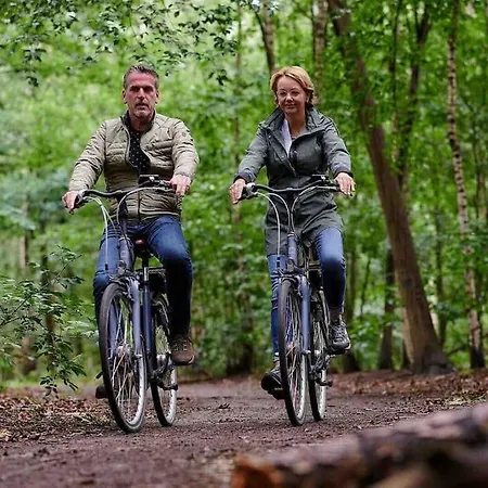 Davis Alpesi faház *