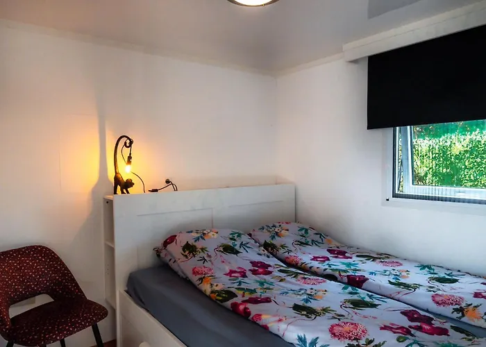 شاليه Davis فورتهاوزن